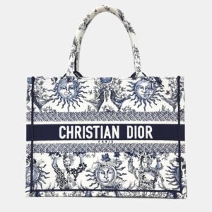 Christian Dior Book Tote Bag
