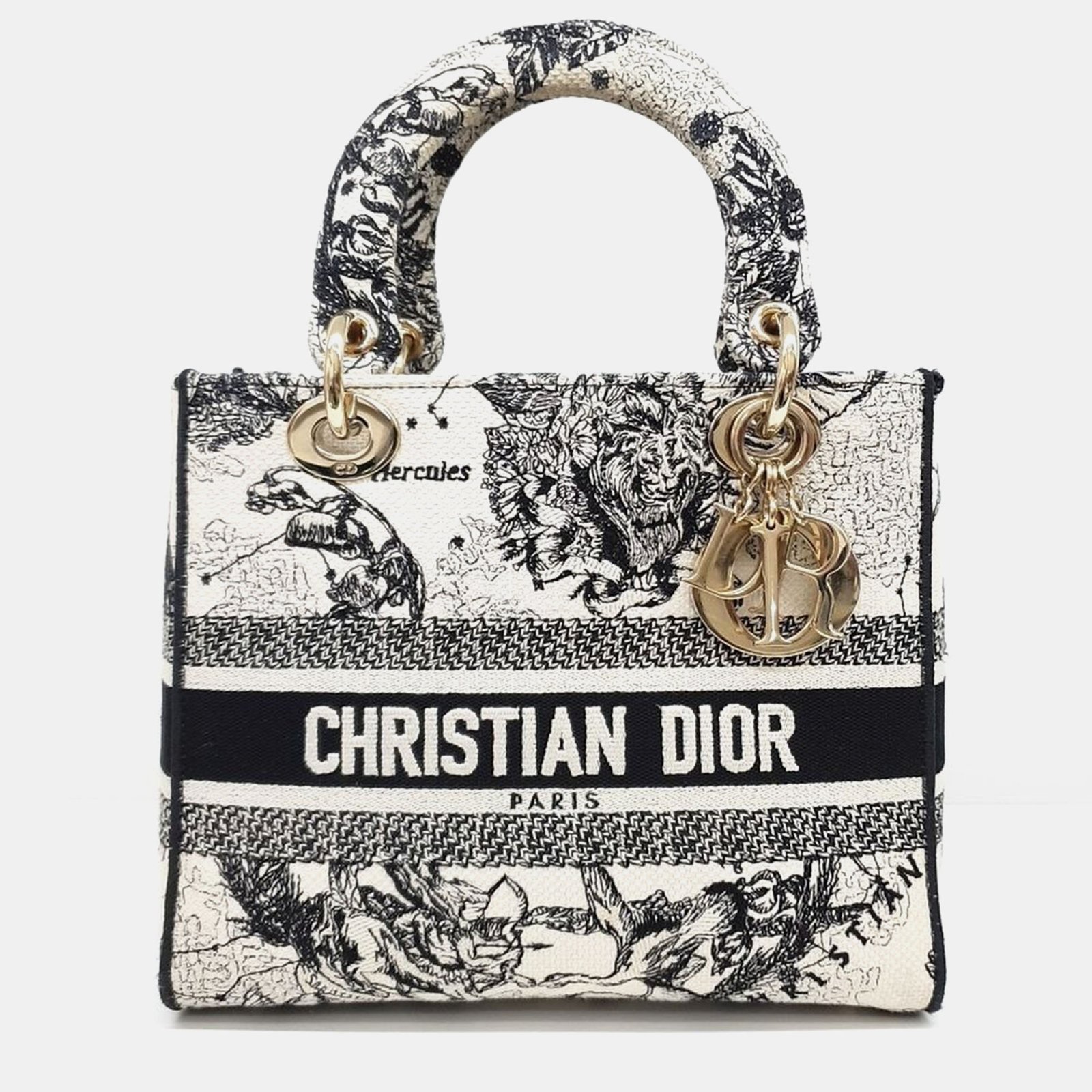 Christian Dior D-LITE Lady Medium Bag