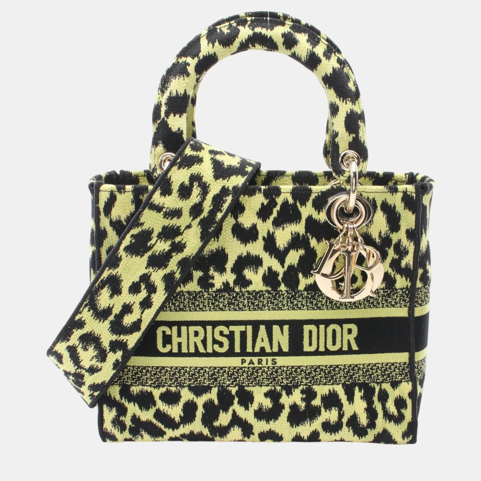 Christian Dior Green Black Canvas Dior Lady D-Lite Medium D Light Handbag