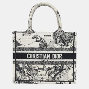 Christian Dior Book Tote Bag