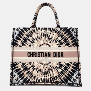 Dior Book Tote Bag