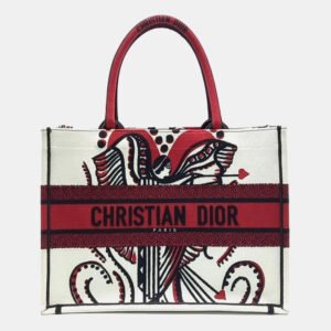 Dior Multicolor Canvas Book Tote Bag 36