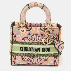 Dior Multicolor Embroidered Canvas Medium Lady D-Lite Tote