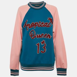 Dolce & Gabbana Blue/Pink Embroidered Cotton Sweatshirt S