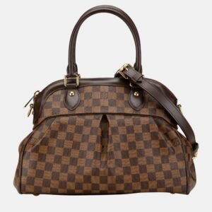 Louis Vuitton Brown Damier Ebene Canvas Trevi PM Tote Bag