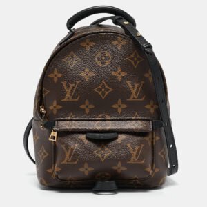 louis vuitton monogram canvas mini palm springs backpack